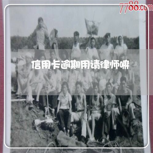信用卡逾期用请律师嘛/2023061694037 信用卡逾期用请律师嘛/2023061694037