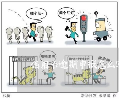 信用卡逾期申报怎么写/2023061684826