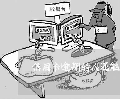 信用卡逾期的人还能开网店吗 信用卡逾期的人还能开网店吗