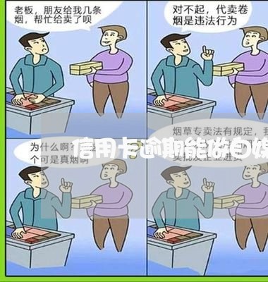 信用卡逾期能做自媒体吗 信用卡逾期能做自媒体吗