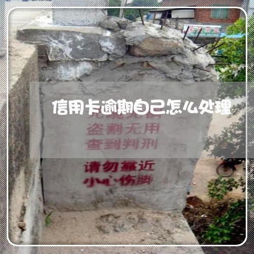 信用卡逾期自己怎么处理 信用卡逾期自己怎么处理