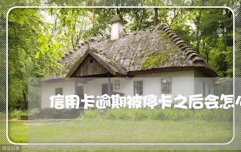 信用卡逾期被停卡之后会怎么样 信用卡逾期被停卡之后会怎么样