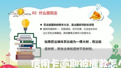 信用卡逾期被催款怎么办 信用卡逾期被催款怎么办
