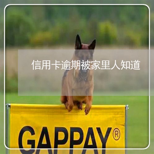 信用卡逾期被家里人知道 信用卡逾期被家里人知道