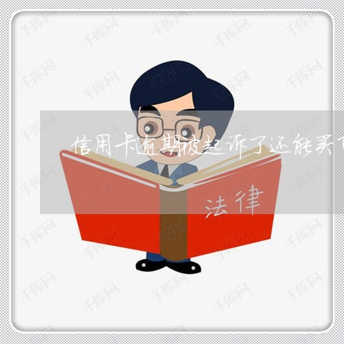 信用卡逾期被起诉了还能买飞机票