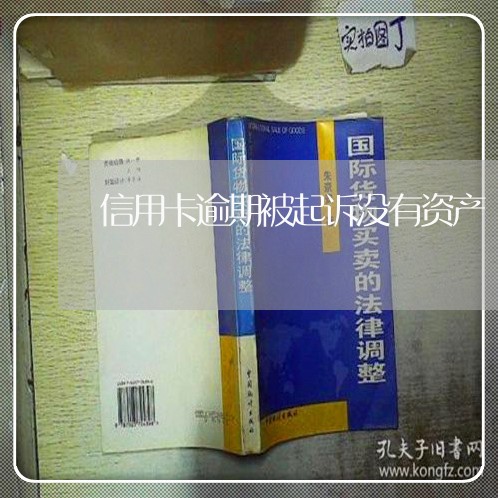 信用卡逾期被起诉没有资产/2023060390526 信用卡逾期被起诉没有资产/2023060390526
