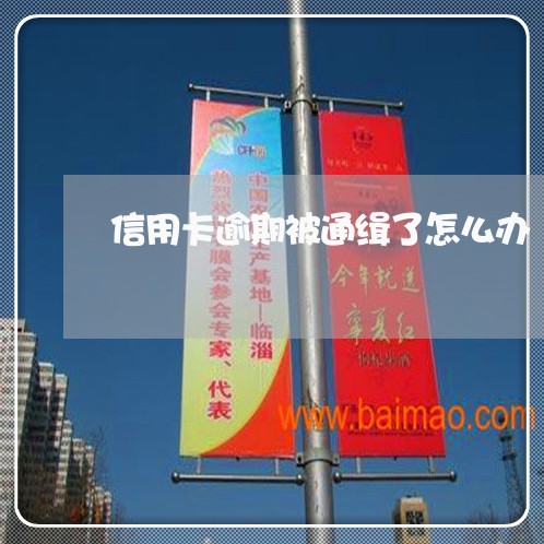 信用卡逾期被通缉了怎么办 信用卡逾期被通缉了怎么办