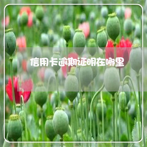信用卡逾期证明在哪里/2023061746173