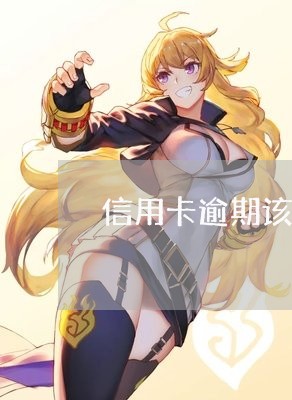 信用卡逾期该如何办理贷款/2023060210704
