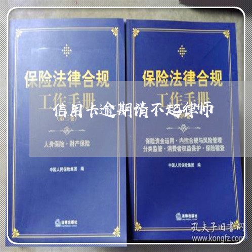 信用卡逾期请不起律师/2023061836258