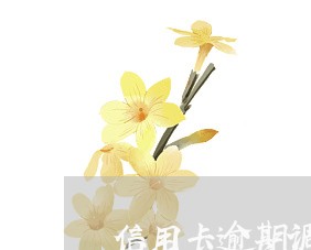 信用卡逾期调解中心是什么