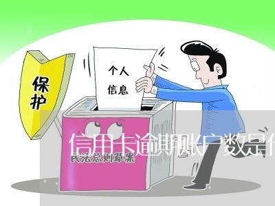 信用卡逾期账户数是什么意思/2023060479512