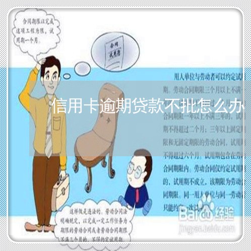 信用卡逾期贷款不批怎么办