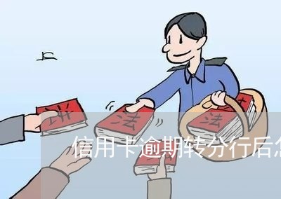 信用卡逾期转分行后怎么办 信用卡逾期转分行后怎么办