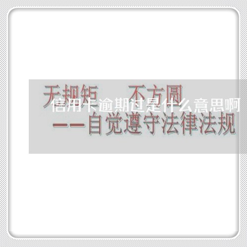 信用卡逾期过是什么意思啊