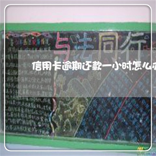 信用卡逾期还款一小时怎么办 信用卡逾期还款一小时怎么办