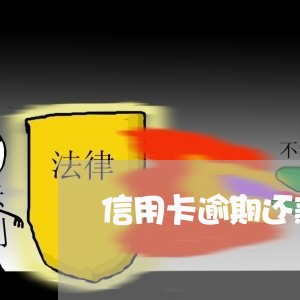 信用卡逾期还款最迟几天/2023041193604