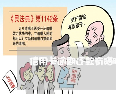 信用卡逾期还款有猫腻 信用卡逾期还款有猫腻