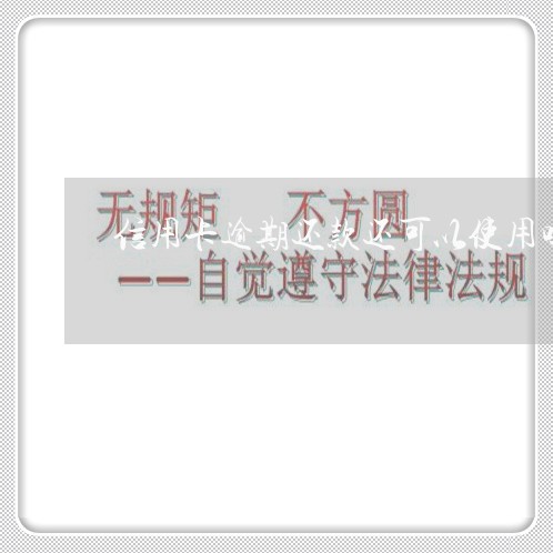 信用卡逾期还款还可以使用吗