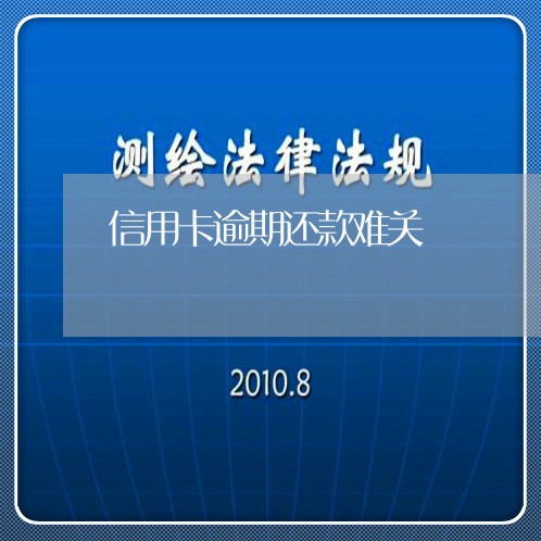 信用卡逾期还款难关/2023021323145