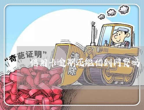 信用卡逾期还能借到网贷吗 信用卡逾期还能借到网贷吗