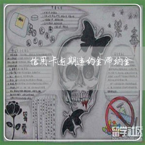 信用卡逾期违约金滞纳金