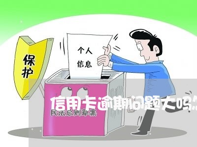 信用卡逾期问题大吗怎么解决的/2023110295068