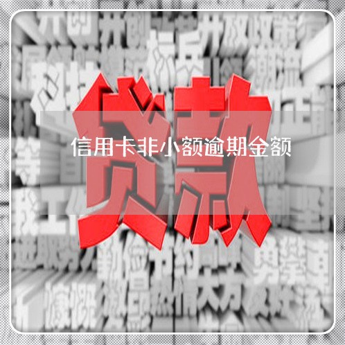 信用卡非小额逾期金额/2023061817159