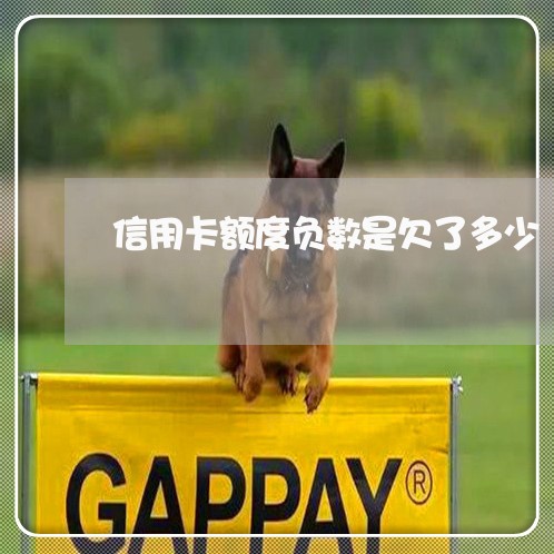 信用卡额度负数是欠了多少 信用卡额度负数是欠了多少