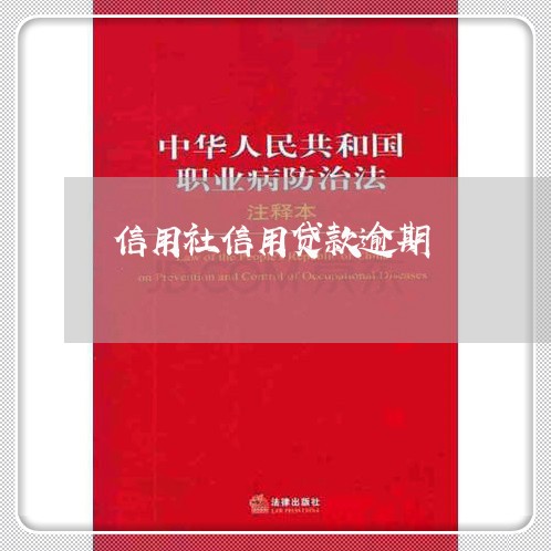 信用社信用贷款逾期 信用社信用贷款逾期