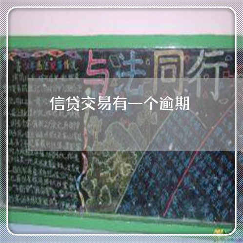 信贷交易有一个逾期 信贷交易有一个逾期