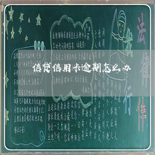 信贷信用卡逾期怎么办