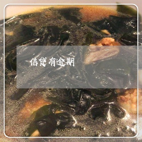 信贷有逾期