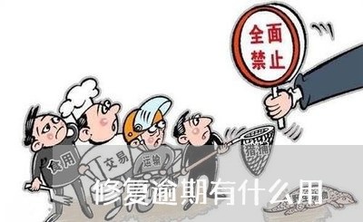 修复逾期有什么用 修复逾期有什么用
