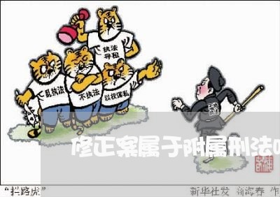 修正案属于附属刑法吗