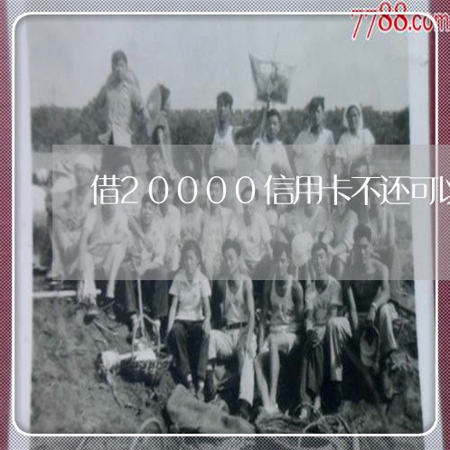 借20000信用卡不还可以吗 借20000信用卡不还可以吗