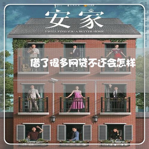 借了很多网贷不还会怎样