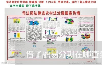 借了融易分期在哪查到还款日