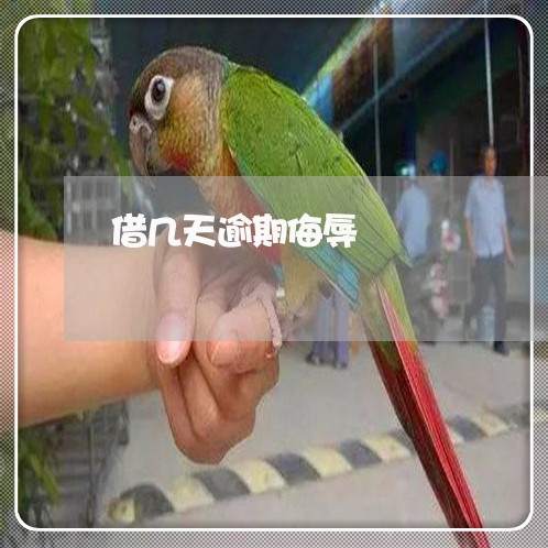 借几天逾期侮辱
