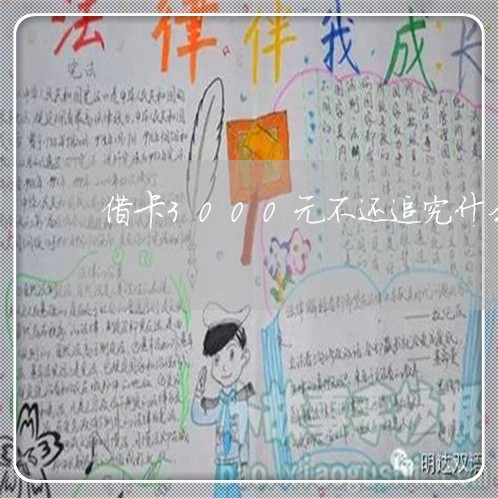 借卡3000元不还追究什么责任