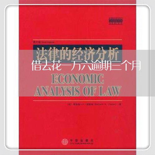 借去花一万六逾期三个月