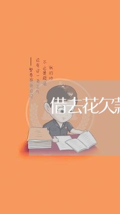 借去花欠款逾期/2023071455140