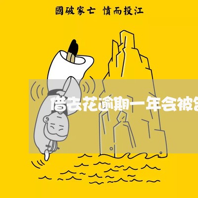 借去花逾期一年会被告上法庭吗 借去花逾期一年会被告上法庭吗