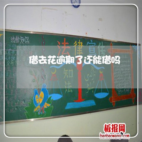 借去花逾期了还能借吗/2023031731915 借去花逾期了还能借吗/2023031731915