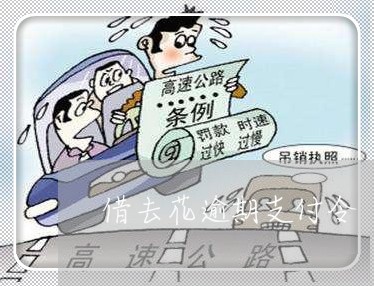 借去花逾期支付令 借去花逾期支付令