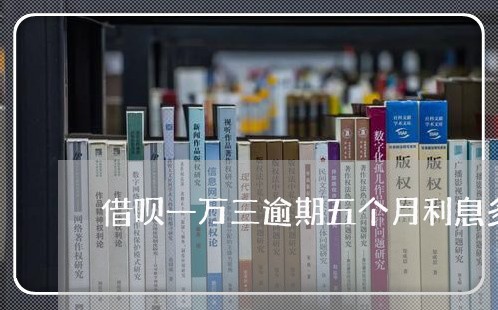 借呗一万三逾期五个月利息多少