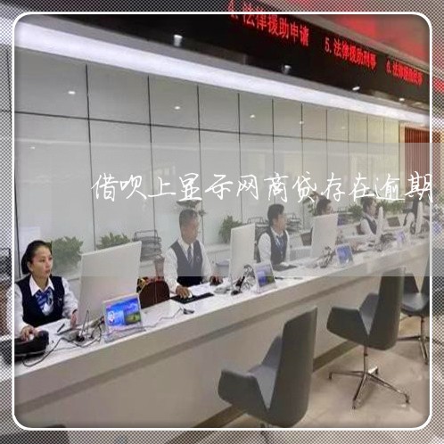 借呗上显示网商贷存在逾期/2023030134161