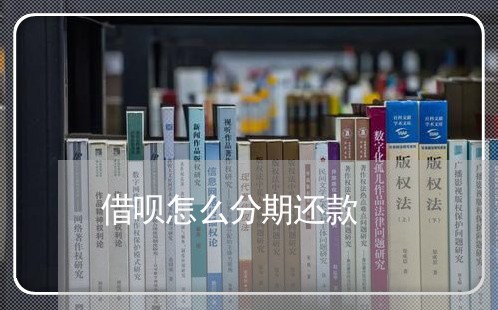 借呗怎么分期还款/2023022698160 借呗怎么分期还款/2023022698160