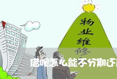 借呗怎么能不分期还款呢/2023030181836