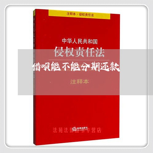 借呗能不能分期还款/2023012293825 借呗能不能分期还款/2023012293825